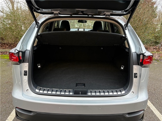 Used Lexus NX 2015 for sale - 77427526: Photo 9