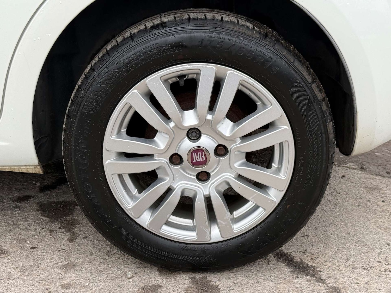 Used Fiat Punto 2012 for sale - 77792540: Photo 56