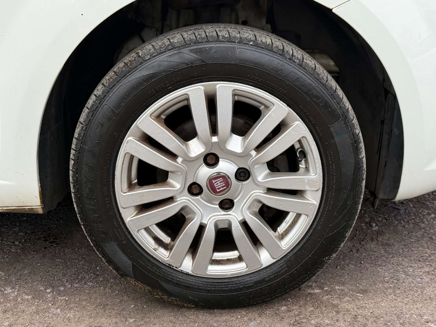 Used Fiat Punto 2012 for sale - 77792540: Photo 57