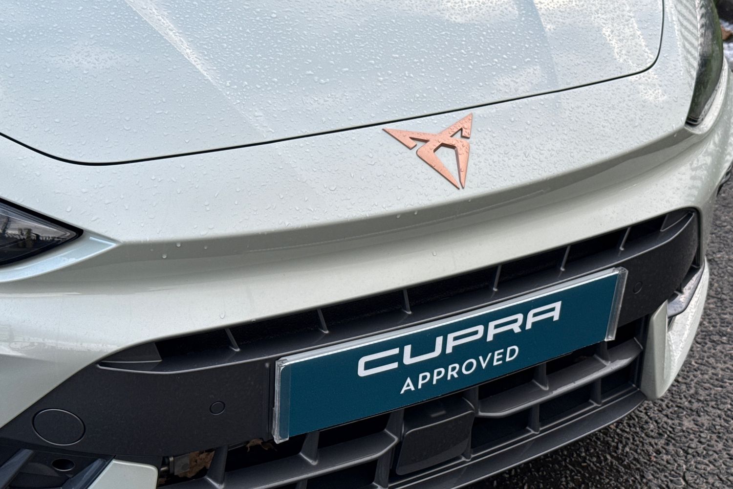 Used Cupra Leon 2025 for sale - 77135424: Photo 42