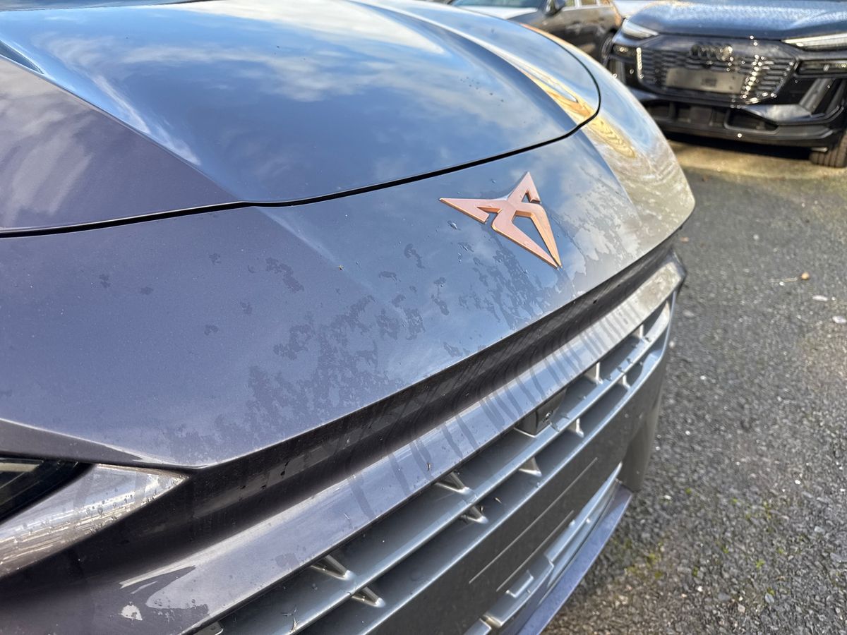 Used Cupra Terramar 2025 for sale - 76949716: Photo 24