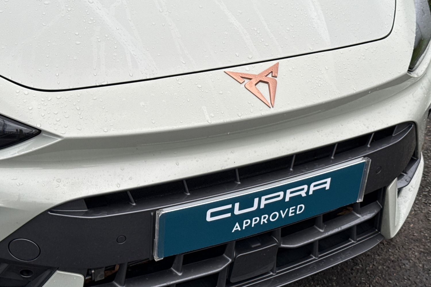 Used Cupra Leon 2025 for sale - 77187537: Photo 39