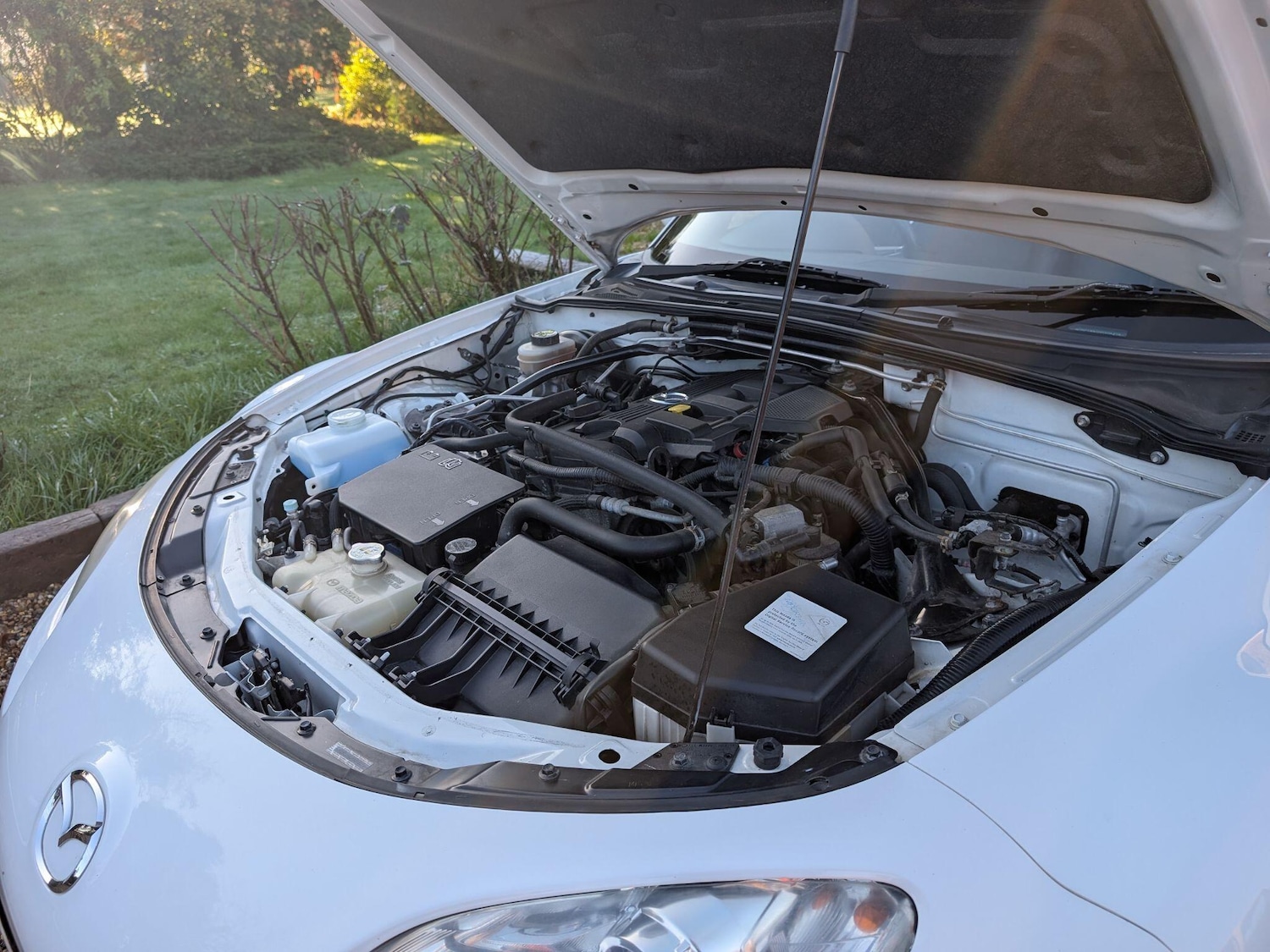 Used Mazda MX-5 2010 for sale - 76715428: Photo 41