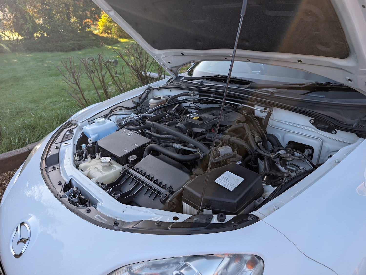 Used Mazda MX-5 2010 for sale - 76739405: Photo 100