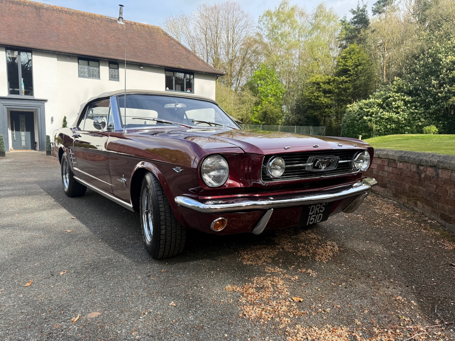 Used Ford Mustang 2014 for sale - 78219434: Photo 12