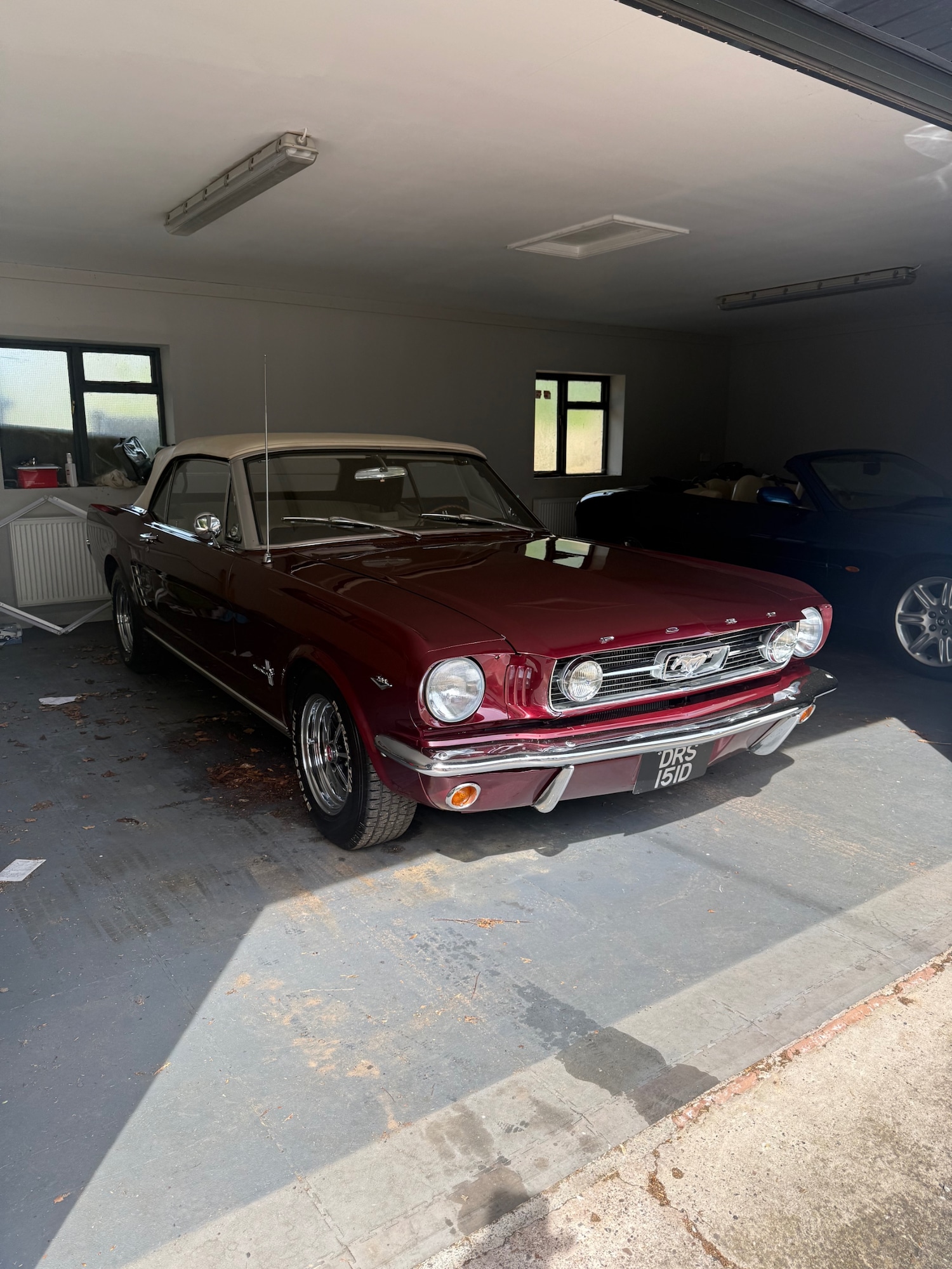 Used Ford Mustang 2014 for sale - 78219434: Photo 14