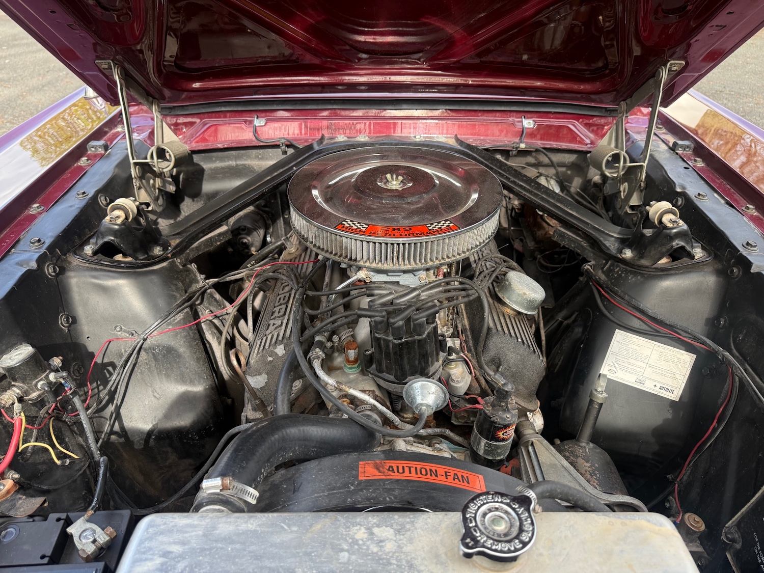 Used Ford Mustang 2014 for sale - 78219434: Photo 19