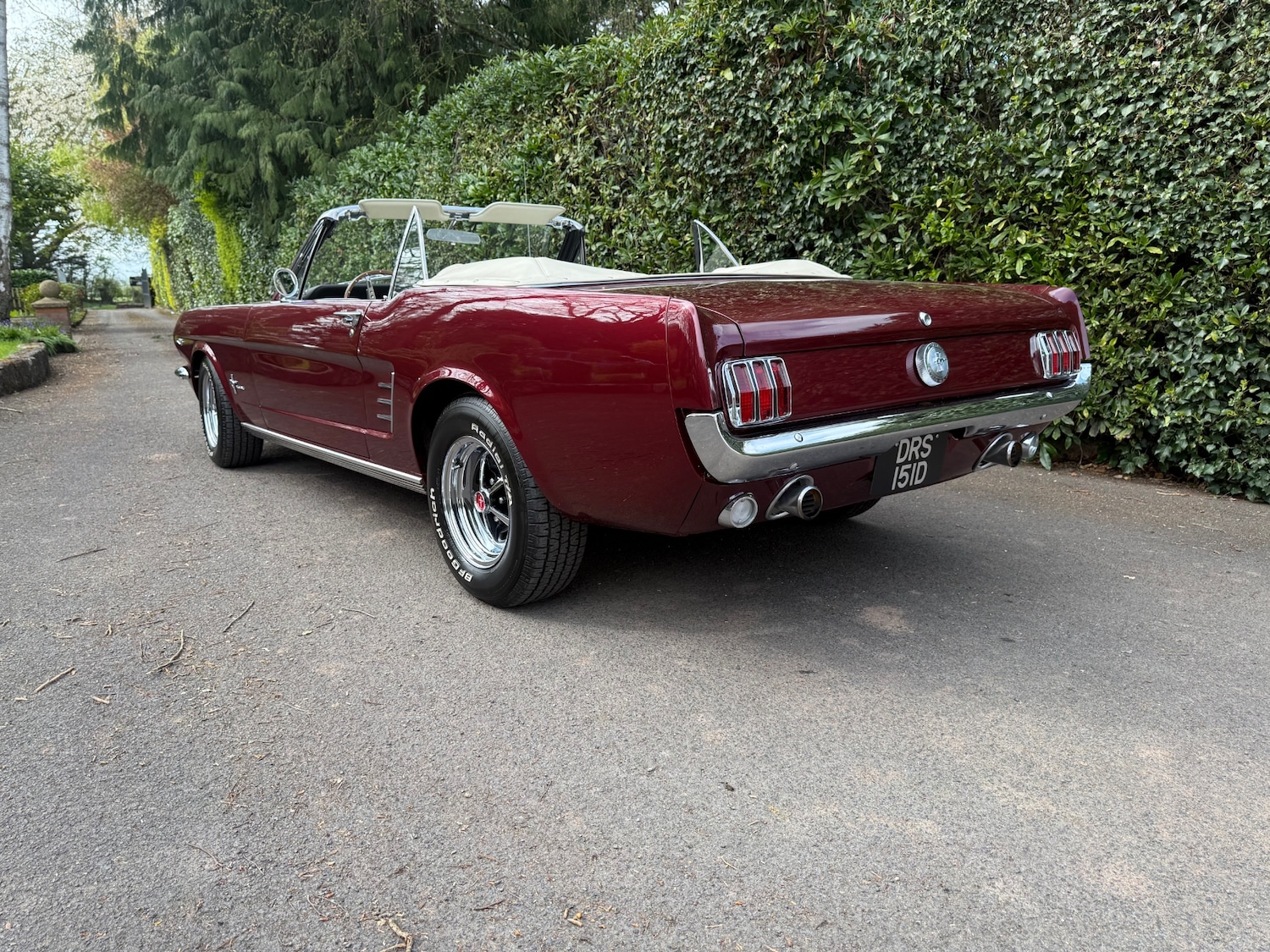 Used Ford Mustang 2014 for sale - 78219434: Photo 4