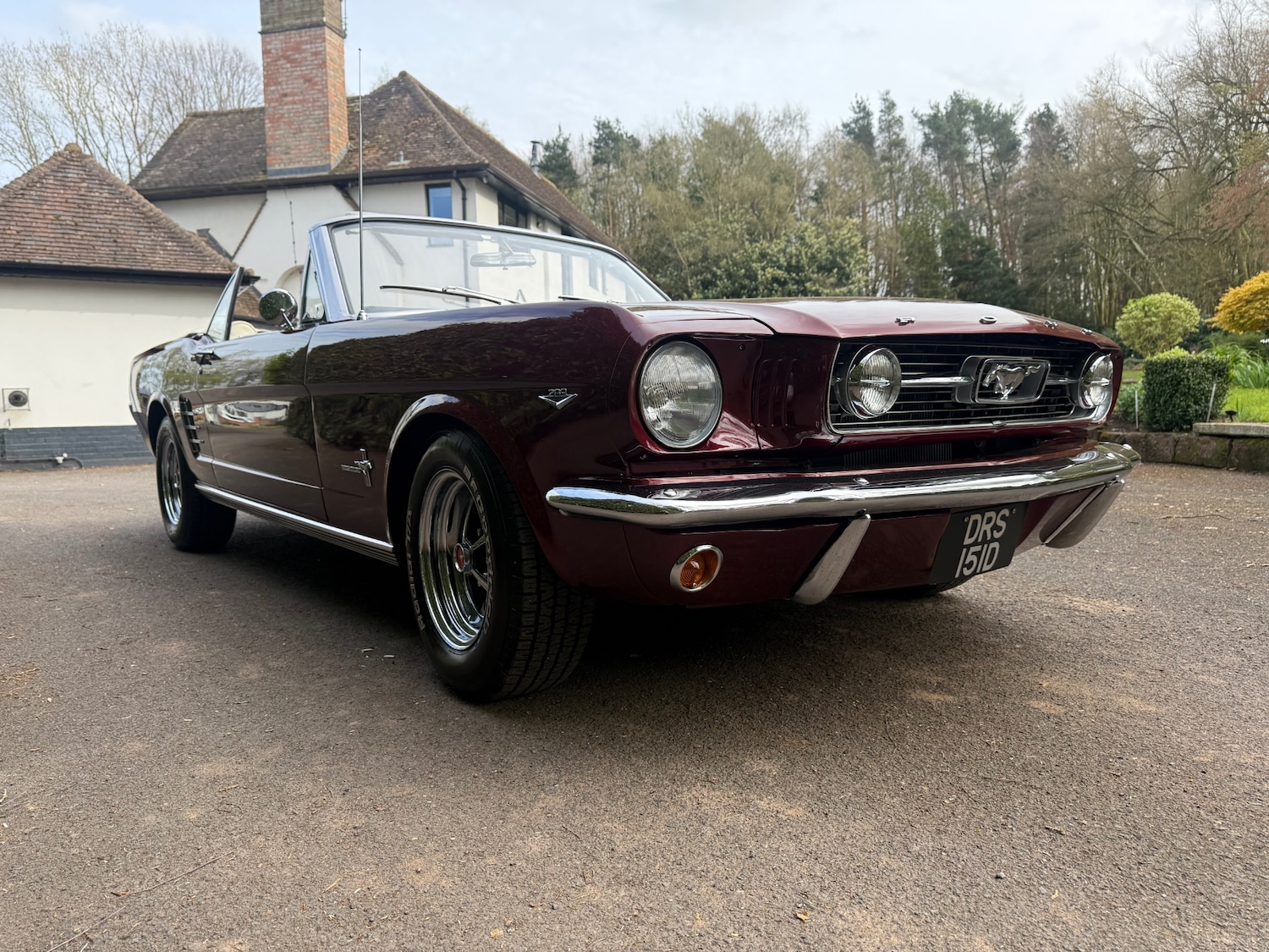 Used Ford Mustang 2014 for sale - 78219434: Photo 5