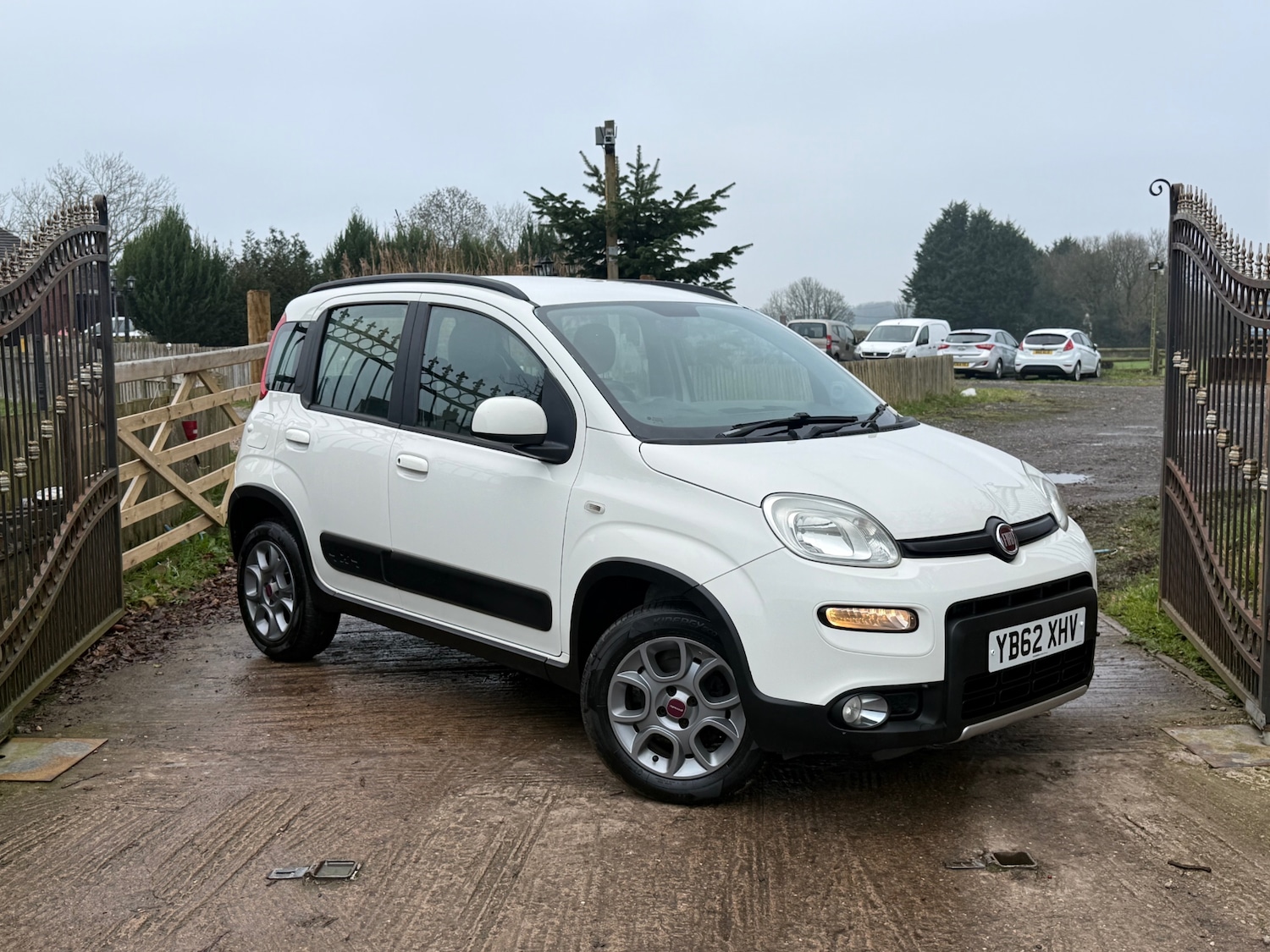 Used Fiat Panda 2013 for sale - 77031559: Photo 3