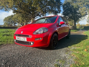 Used Fiat Punto 2013 for sale - 76438291: Photo