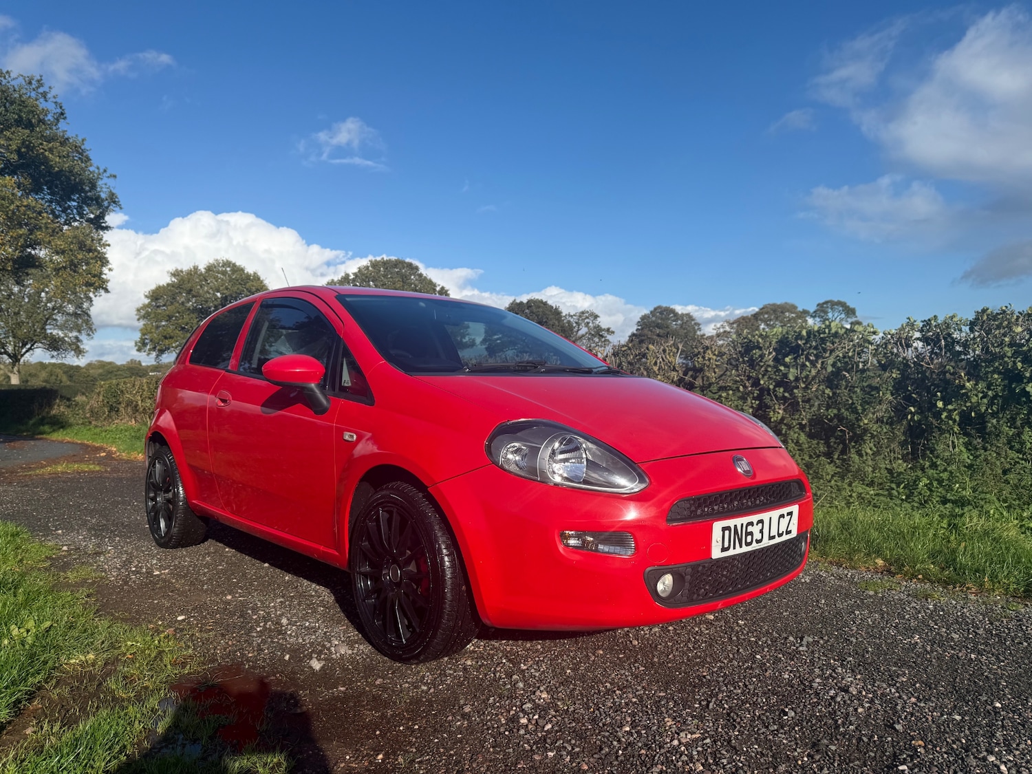 Used Fiat Punto 2013 for sale - 76438291: Photo 3