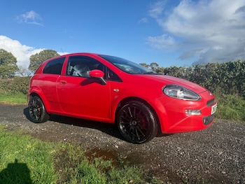 Used Fiat Punto 2013 for sale - 76438291: Photo