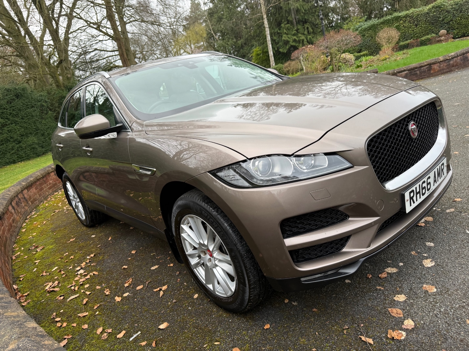 Used Jaguar F-Pace 2016 for sale - 77806946: Photo 14