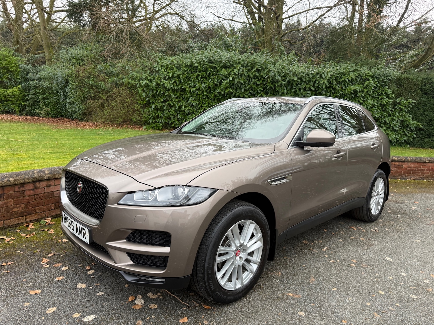 Used Jaguar F-Pace 2016 for sale - 77806946: Photo 9