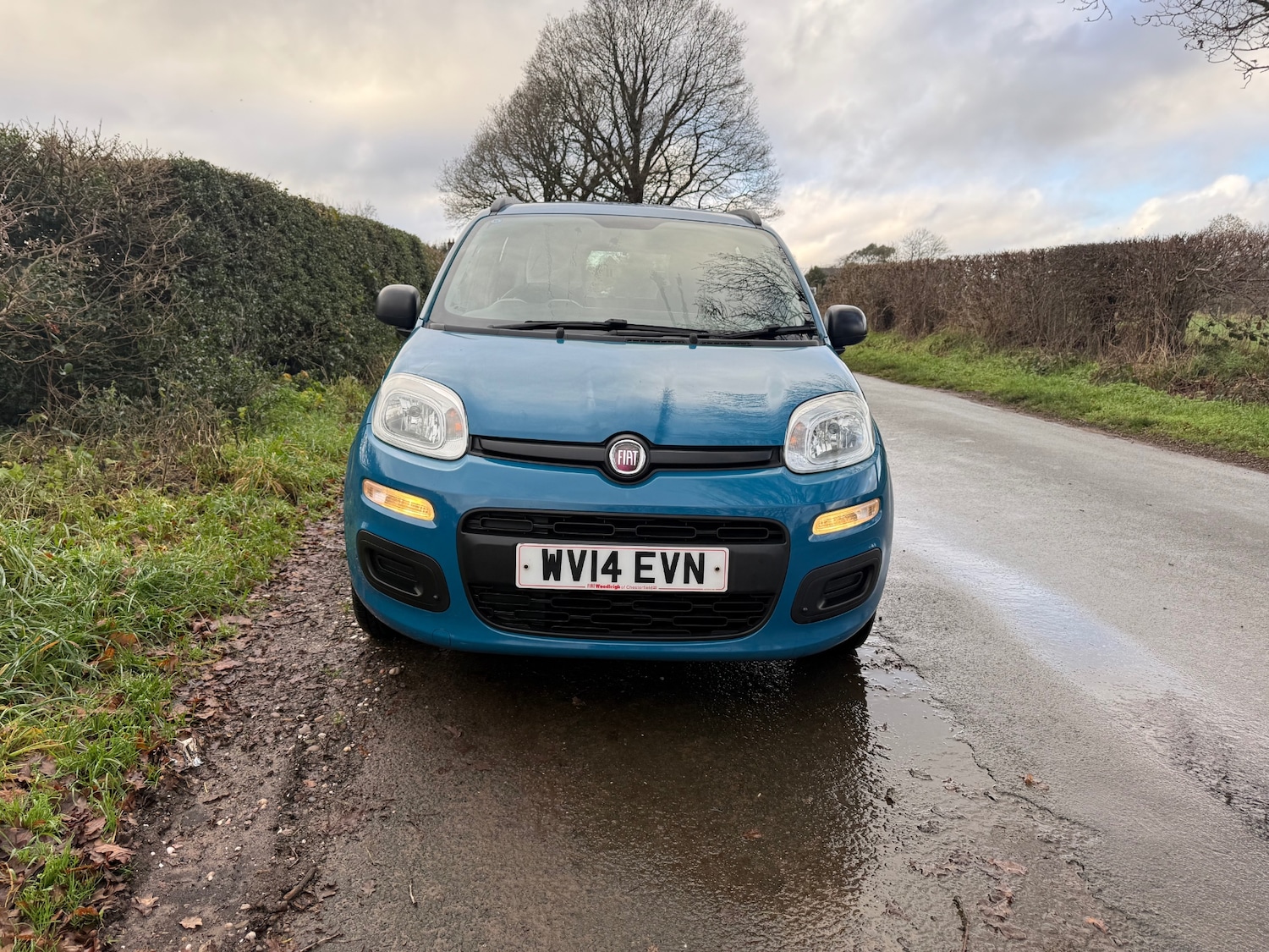 Used Fiat Panda 2014 for sale - 77014976: Photo 3