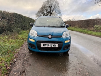 Used Fiat Panda 2014 for sale - 77014976: Photo
