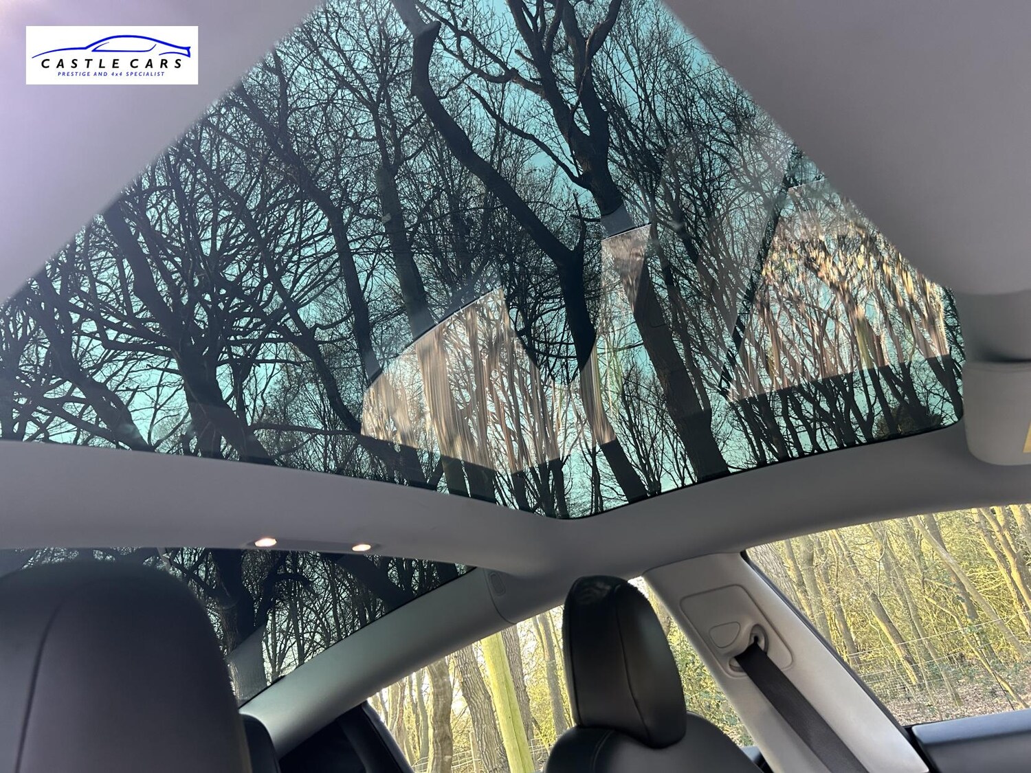 Used Tesla Model 3 2020 for sale - 77962707: Photo 21