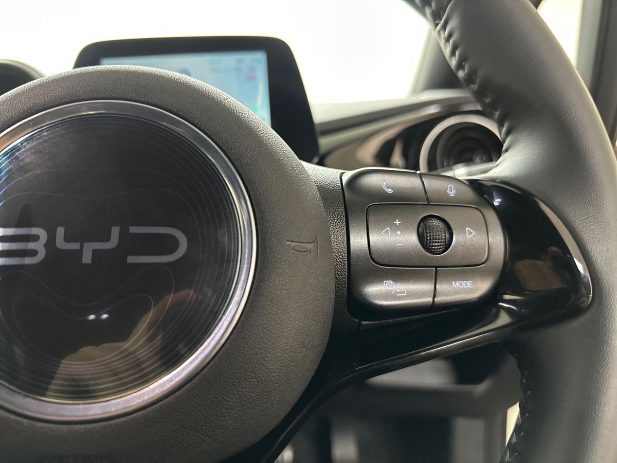 Used BYD Dolphin 2025 for sale - 77210107: Photo 27