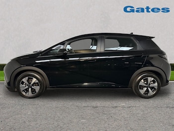 Used BYD Dolphin 2026 for sale - 79431319: Photo