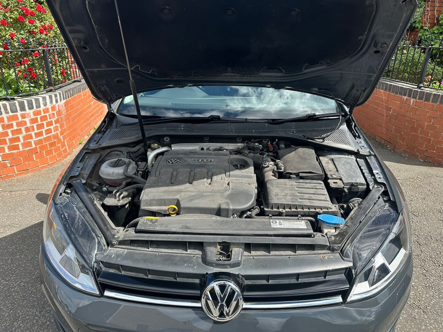 Used Volkswagen Golf 2016 for sale - 77242023: Photo 6