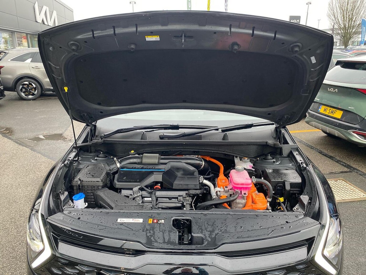 Used Kia Sportage 2024 for sale - 76986940: Photo 37