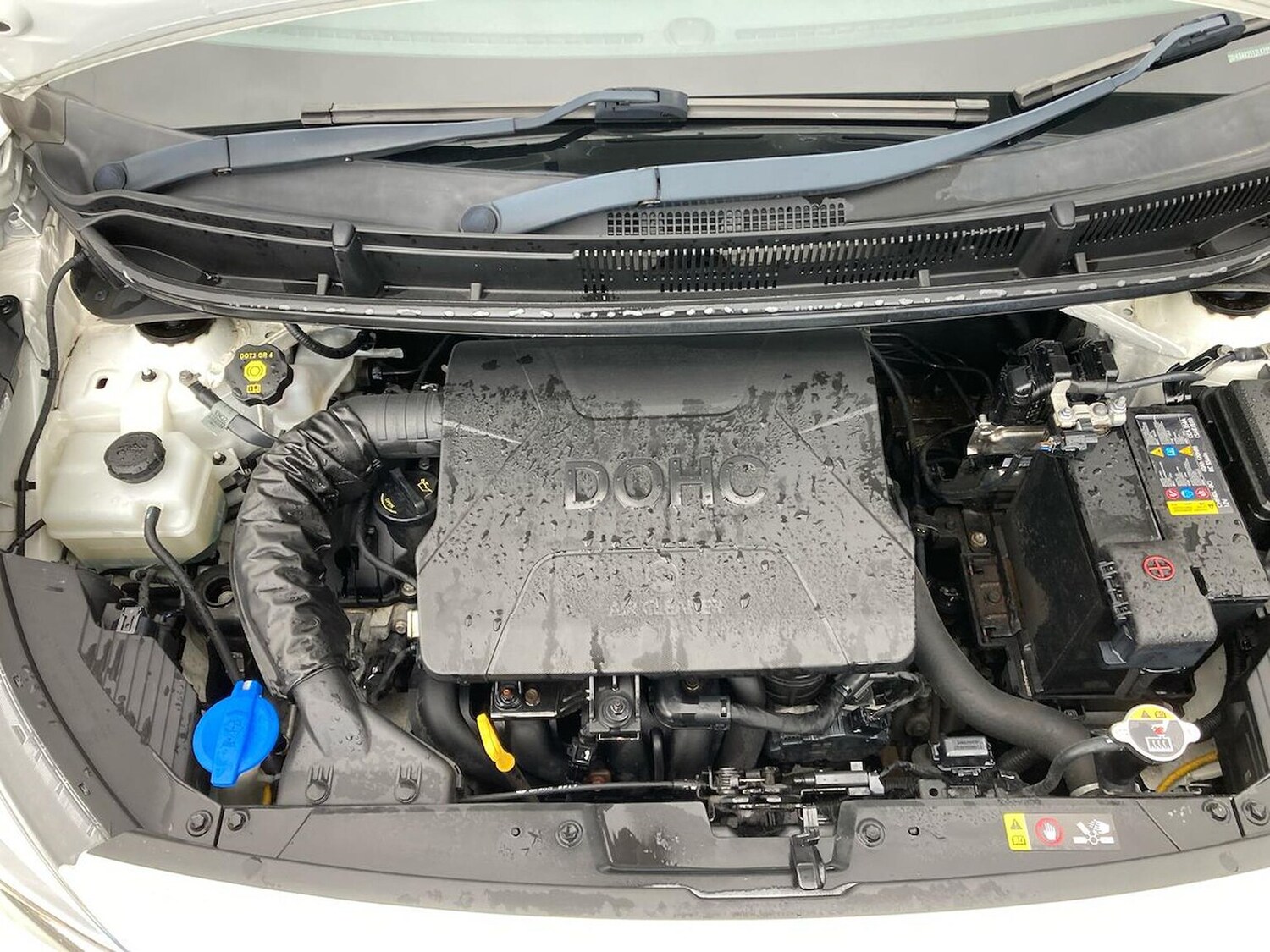 Used Kia Picanto 2019 for sale - 76439766: Photo 37