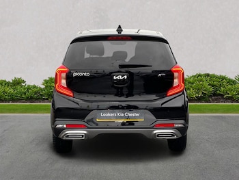 Used Kia Picanto 2023 for sale - 76885064: Photo