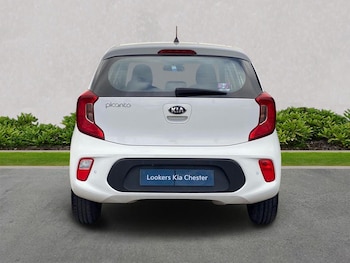 Used Kia Picanto 2019 for sale - 75475645: Photo
