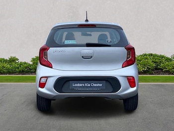 Used Kia Picanto 2023 for sale - 77085541: Photo