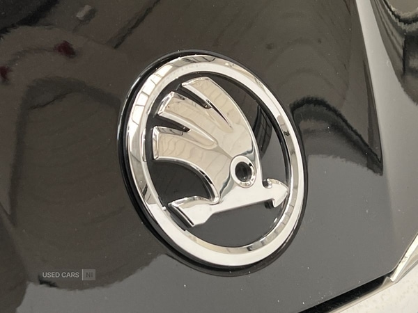 Used Skoda Fabia 2025 for sale - 76593273: Photo 21