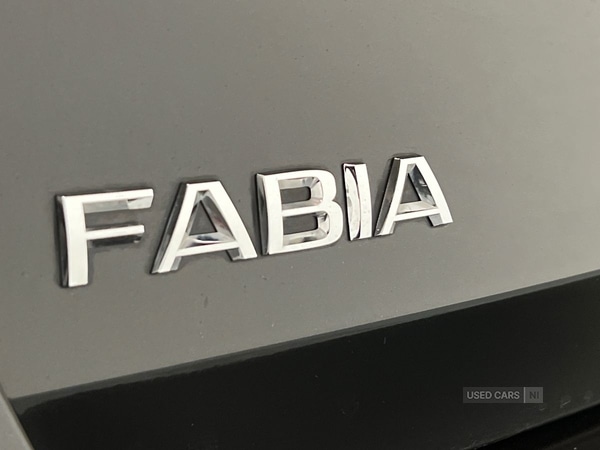 Used Skoda Fabia 2025 for sale - 76593273: Photo 22
