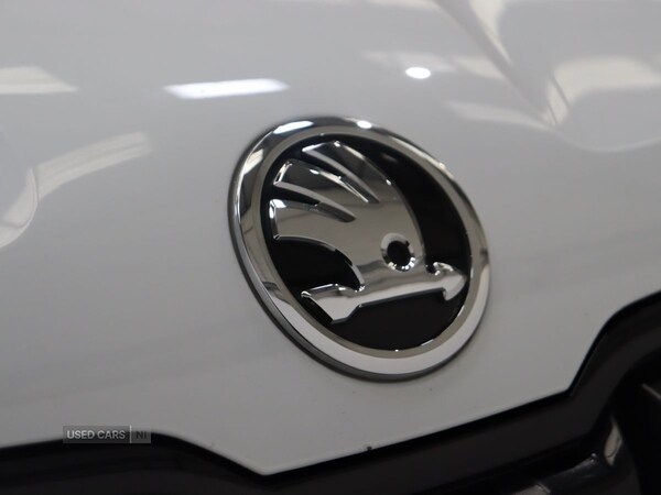 Used Skoda Karoq 2019 for sale - 76486309: Photo 21