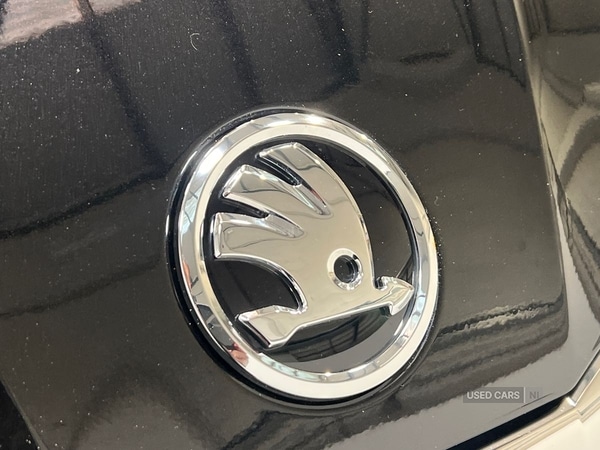 Used Skoda Fabia 2025 for sale - 76715891: Photo 21