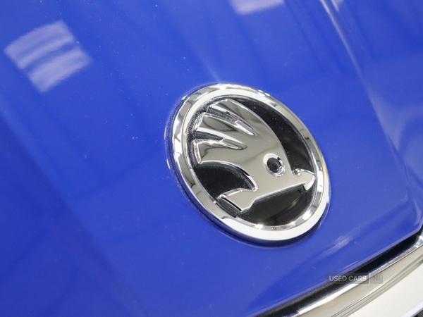 Used Skoda Fabia 2023 for sale - 76500299: Photo 21