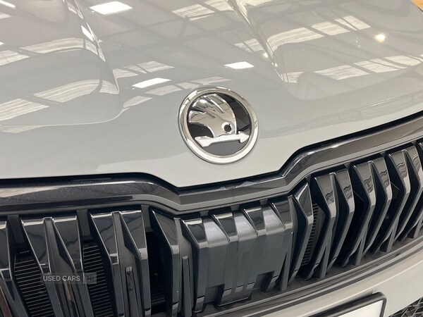 Used Skoda Karoq 2025 for sale - 76175809: Photo 21