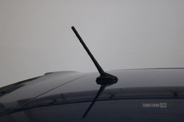 Used Volkswagen Polo 2019 for sale - 76123223: Photo 40