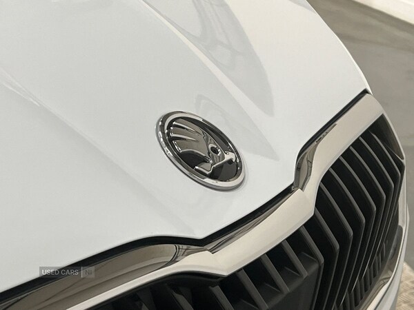 Used Skoda Fabia 2023 for sale - 76251551: Photo 21