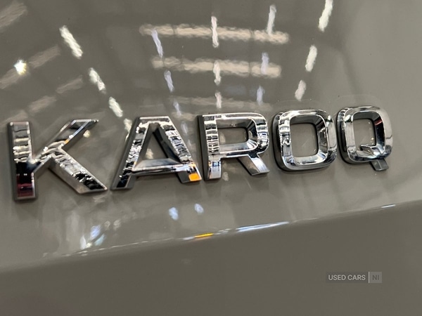 Used Skoda Karoq 2023 for sale - 76634474: Photo 22
