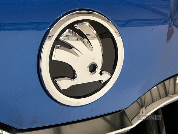 Used Skoda Kamiq 2025 for sale - 76593242: Photo 21