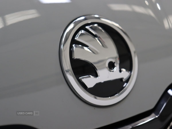 Used Skoda Karoq 2024 for sale - 76378267: Photo 21