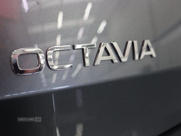 Used Skoda Octavia 2025 for sale - 76419559: Photo 22