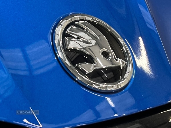 Used Skoda Fabia 2025 for sale - 76621224: Photo 21