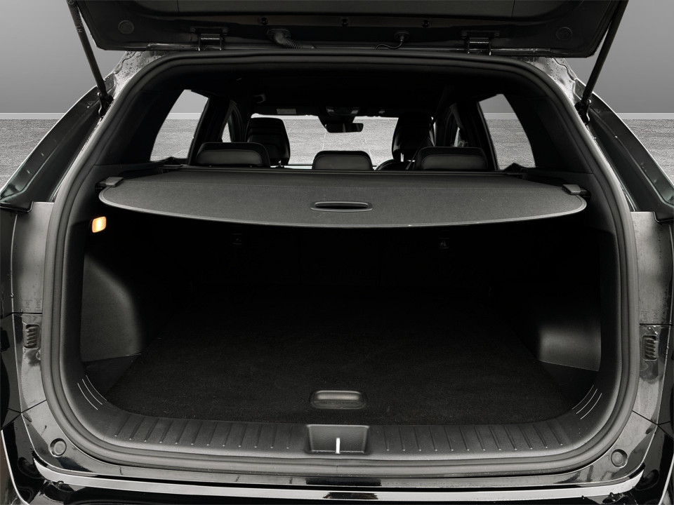 Used Kia Sportage 2025 for sale - 77629570: Photo 12