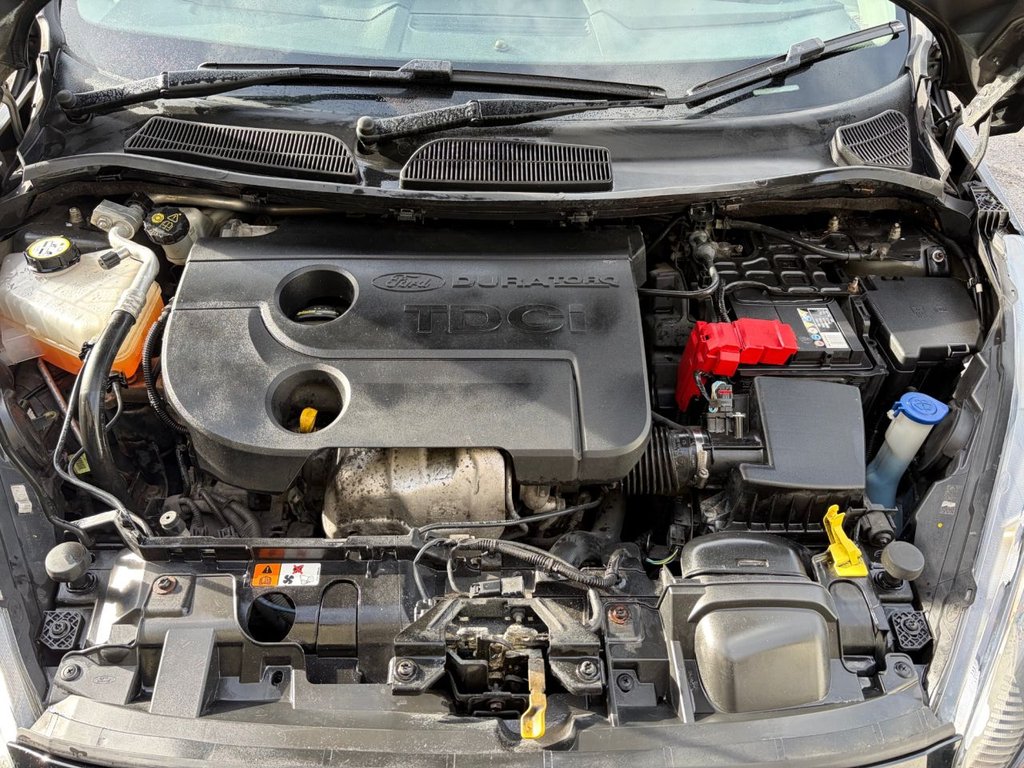 Used Ford Fiesta 2013 for sale - 77621459: Photo 24