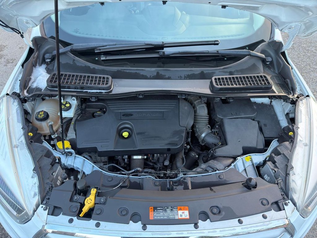 Used Ford Kuga 2018 for sale - 76900638: Photo 19