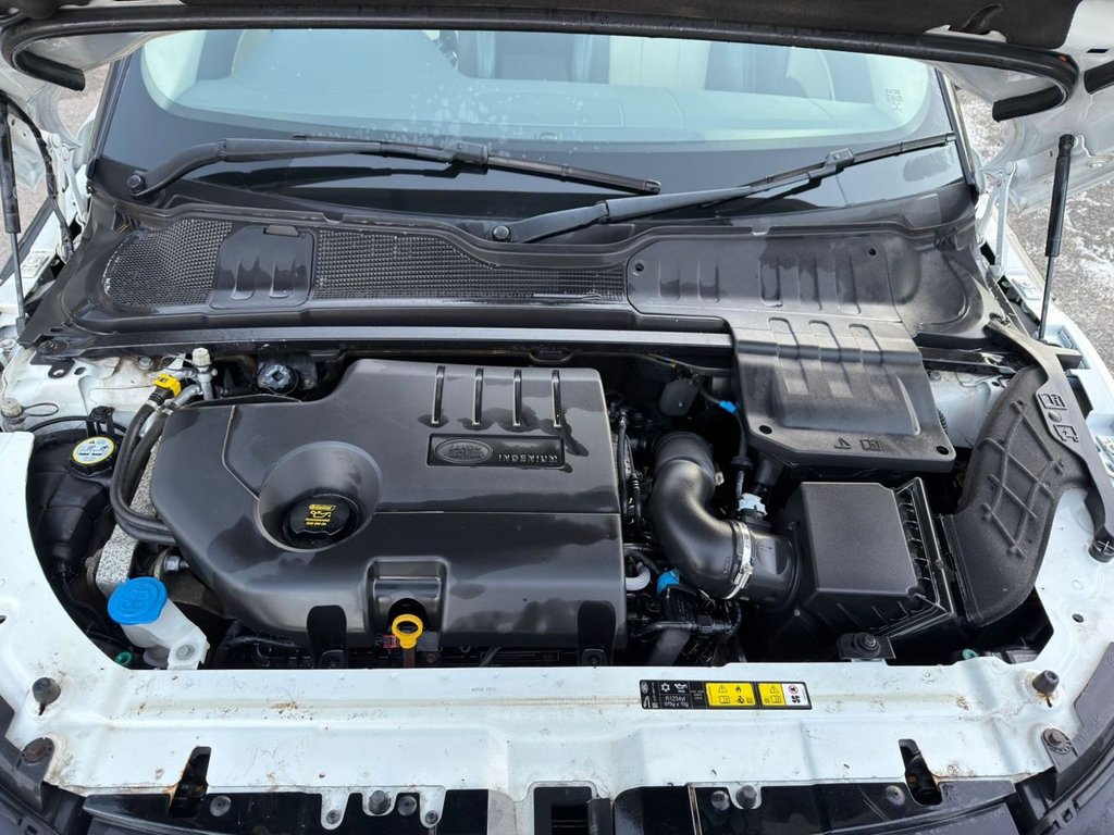 Used Land Rover Range Rover Evoque 2017 for sale - 77133667: Photo 17