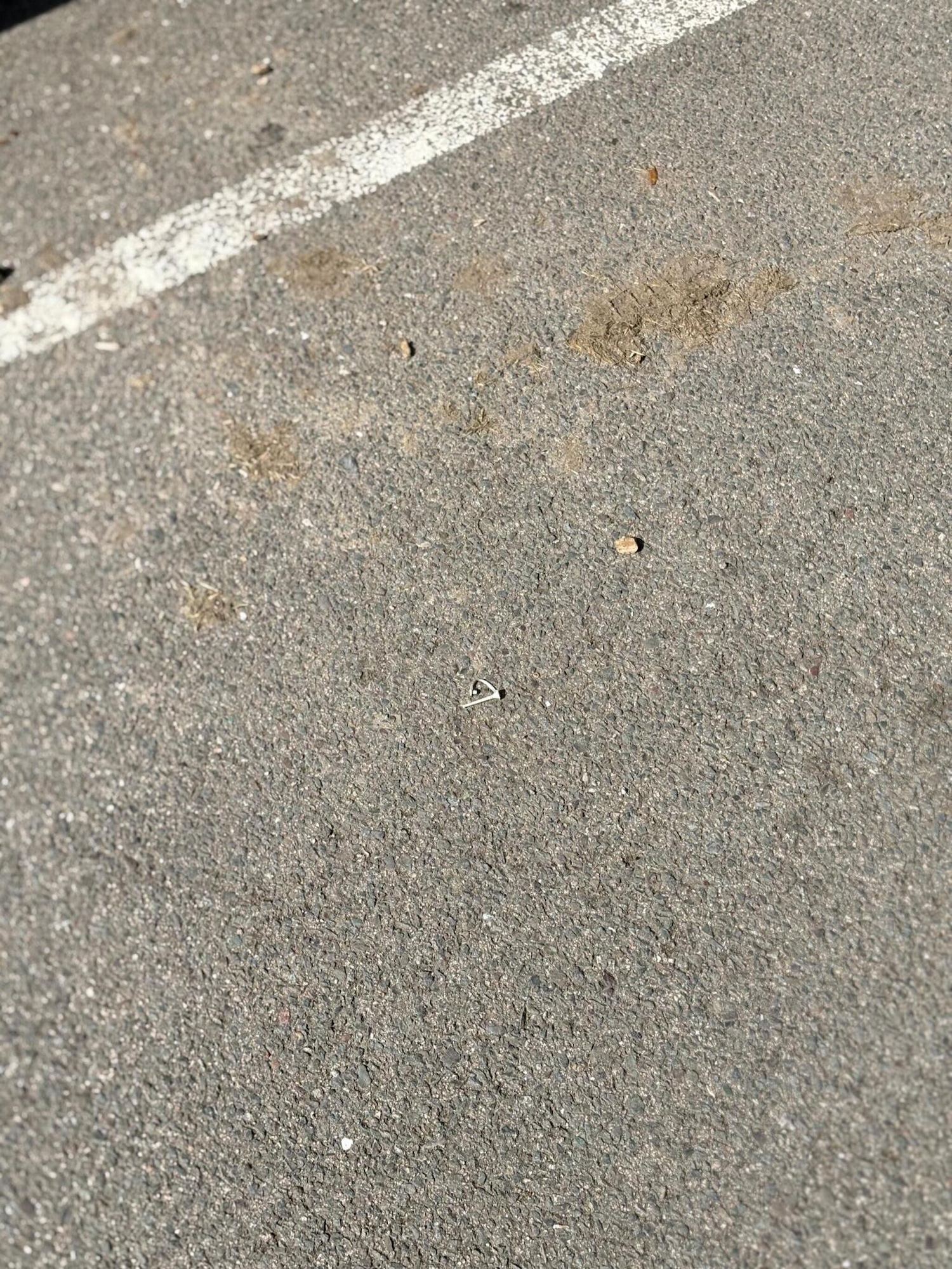 Used BMW 1 Series 2013 for sale - 76011472: Photo 40