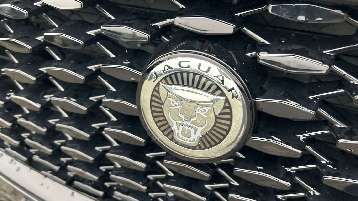 Used Jaguar F-Pace 2024 for sale - 77615576: Photo 23