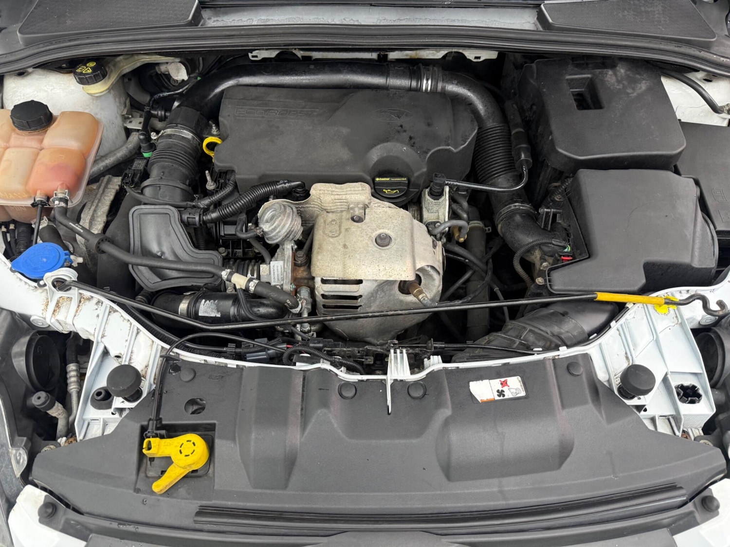 Used Ford Focus for sale - 77215317: Photo 13